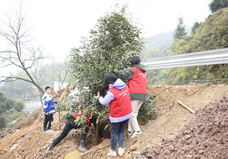 数学与统计学院志愿服务精彩锦集